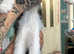 We have 7 LET TWO BOYS STILL AVAILABLE gorgeous Maine coon kittens for re homing