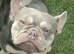 Female 3year old