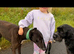 Lovely dog needing a home