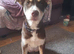 Beautiful Rare Girl Ready Now