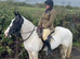 Grab a once-in-a-lifetime ready to mauld horse! 15.1hh cob cross