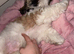 Winnie