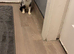 4 kittens