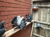Indian Fantails