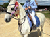 Daisy 12.2 grey mare 11 years old