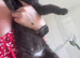 One kitten for sale