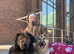 Qitmir is looking for a new home ASAP