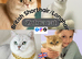 STUD BSH .Gccf /Tica