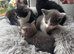Only 1 boys left ready now