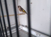 2026 British birds