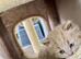 Pure British shorthair kittens genetically tested