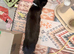 We have a beautiful black Maine coon 5 months old
