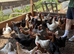 Farm For sale