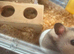 2 female hampsters