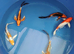 koi new in beautiful hand picked