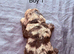 MERLE Cockapoo&rsquo;s Puppies
