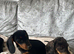 For beautiful, mature Dutch hound girls available