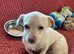 KARA – A Tiny Girl with an Enormous Heart