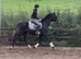 Tall, dark and handsome meet ‘Gavin’