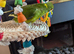 Kakarik baby boy for sale