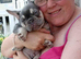 Frenchie
