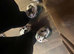 Kittens for sale 3 boys & 3 girls beautiful colours