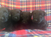 Beautiful Scottie’s