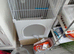 Cage for sale