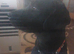 Poodle x