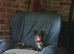 K.C reg with all her papers, Stunning Russian/ Thai . Called Luna .
