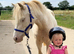 Welsh a cremello mare.