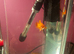 Swordtails for sale