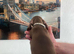 Minature dachshunds
