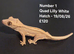 Lilly White Juvenile Crested Geckos with full Lineage