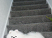 Two lovely Pomeranians for sale must be rehomed together