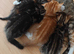 Adorable Kittens Looking for Their Forever Homes! We are happy to announce that 5 sweet, healthy, and playful kittens are now ready to find their lovi
