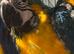 Blue and gold baby macaws ready soon