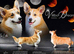 KC registered 1 bobtailed male puppy.