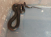 Mexican kingsnake