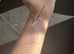 10 Zompro stick insects