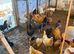 Farm For sale