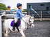 12h pony club super star for sale