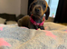 9 babies looking for loving family home