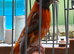 Mutation Siskin Proven Pair