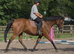 CALI THOROUGHBRED MARE