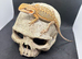 Baby bearded dragons ready