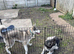 Beautiful Siberian Huskies for Sale &ndash; Well Trained, Friendly & Fully Documented