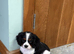 K C Reg FULLY VACCINATED