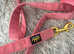 Regal dog small harness set