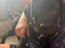 Loving Male Puppy Looking for His Forever Home